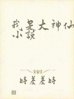 我是大神仙时江小说