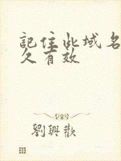 记住此域名记永久有效