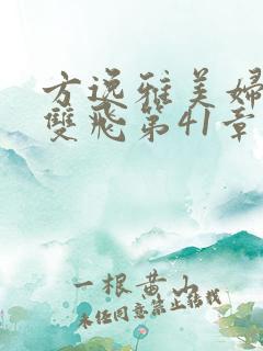 方逸雅美妇厨房双飞第41章