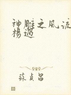 神雕之风流浪子杨过