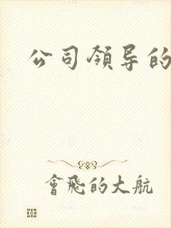 公司领导的老婆