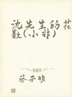 沈先生的花式调数(小非)