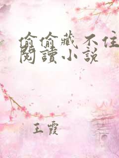 偷偷藏不住免费阅读小说