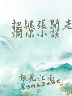 把腿张开老子臊烂你小说