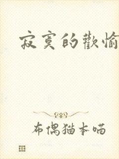寂寞的欢愉正版