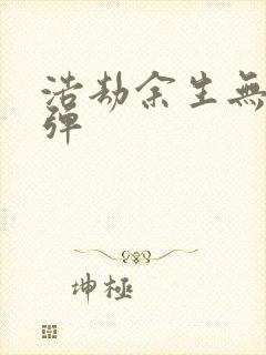 浩劫余生无限子弹