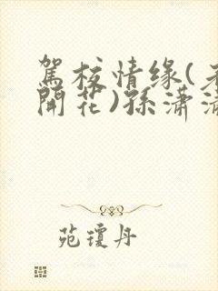 驾校情缘(老树开花)孙潇潇笔趣阁