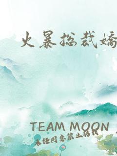 火暴总裁娇柔妻