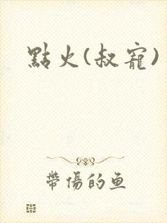 点火(叔宠)