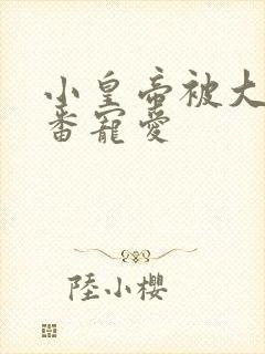 小皇帝被大臣轮番宠爱