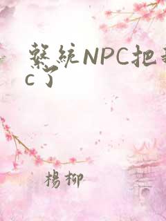 系统NPC把我c了