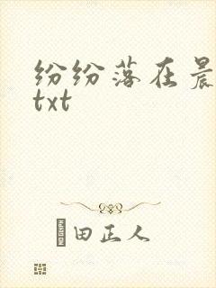 纷纷落在晨色里txt