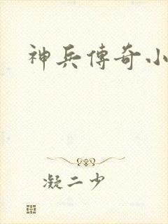 神兵传奇小说