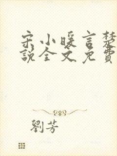 宋小暖言楚行小说全文免费阅读