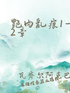 艳肉乱痕1—12章