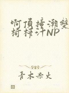 啊顶撞潮双H龙椅榨汁NP