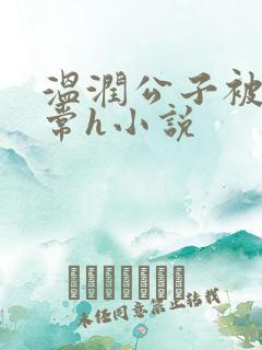 温润公子被脔日常h小说