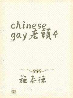 chinesegay老头4