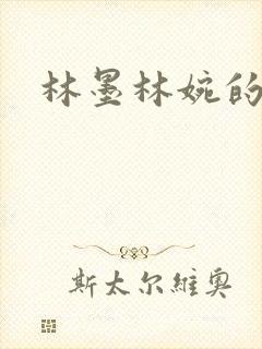 林墨林婉的小说