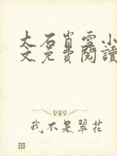 大石肖雪小说全文免费阅读