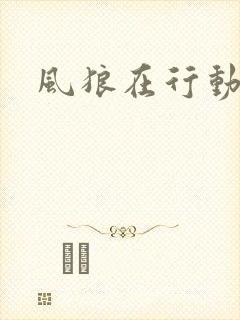 风狼在行动