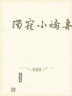 独宠小娇妻