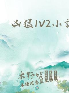 凶猛1V2小说