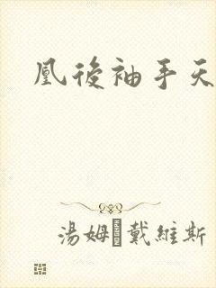 凰后袖手天下