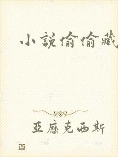 小说偷偷藏不住