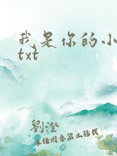 我是你的小小狗txt