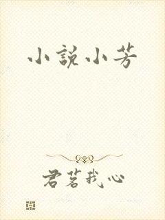 小说小芳