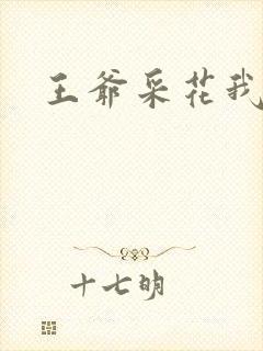 王爷采花我采草