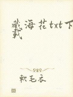 藏海花txt下载