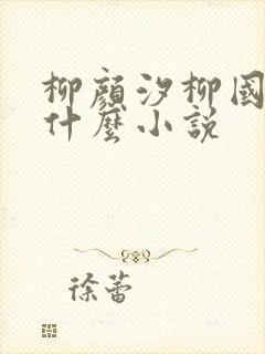 柳颜汐柳国安是什么小说