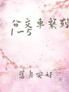 公交车系列合集1一5