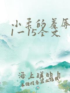 小柔的羞辱日记1一15全文