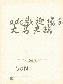 adc欢迎您的大驾光临