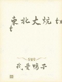东北大炕 txt