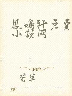 凤鸣轩免费言情小说网