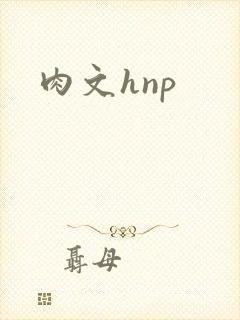 肉文hnp