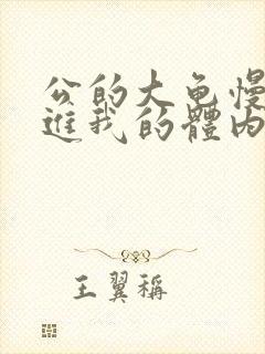 公的大龟慢慢挺进我的体内