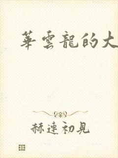 华云龙的大宝贝