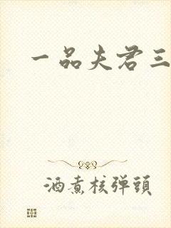 一品夫君三流妻