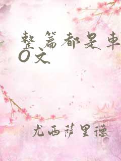 整篇都是车的PO文