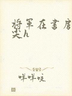 将军在书房含乳尖h