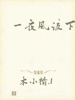 一夜风流下载