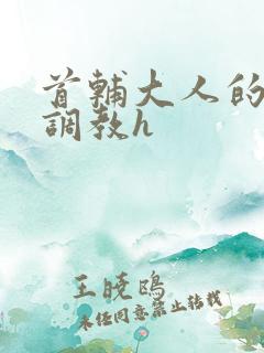 首辅大人的花式调教h