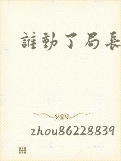 谁动了局长夫人