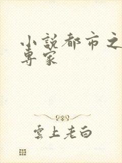 小说都市之军火专家