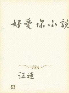 好爱你小说